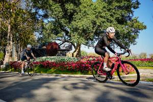 BIB: 
                            <button type="button" onclick="openModal(26168377)" class="btn btn-primary btn-sm float-right btn-popup" data-toggle="modal" data-target=".modal-high-quality">
                        <i class="fas fa-shopping-cart"></i> Add to Cart
                    </button>
                                            <button type="button" onclick="isThisMe(26168377, true)" class="btn btn-success btn-sm float-right btn-popup btn-isme hidden" data-toggle="tooltip" data-placement="bottom" title="นี่คือรูปของคุณใช่ไหม คลิกที่นี่เพื่อเอาเข้าอัลบั้ม">
                        <i class="fas fa-plus"></i> Add to album
                    </button>
                    <button type="button" onclick="isThisMe(26168377, false)" class="btn btn-warning btn-sm float-right btn-popup btn-isnotme hidden">
                        <i class="fas fa-ban"></i> Remove from album
                    </button>