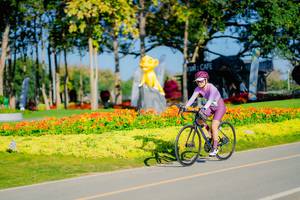 BIB: 
                            <button type="button" onclick="openModal(26167979)" class="btn btn-primary btn-sm float-right btn-popup" data-toggle="modal" data-target=".modal-high-quality">
                        <i class="fas fa-shopping-cart"></i> Add to Cart
                    </button>
                                            <button type="button" onclick="isThisMe(26167979, true)" class="btn btn-success btn-sm float-right btn-popup btn-isme hidden" data-toggle="tooltip" data-placement="bottom" title="นี่คือรูปของคุณใช่ไหม คลิกที่นี่เพื่อเอาเข้าอัลบั้ม">
                        <i class="fas fa-plus"></i> Add to album
                    </button>
                    <button type="button" onclick="isThisMe(26167979, false)" class="btn btn-warning btn-sm float-right btn-popup btn-isnotme hidden">
                        <i class="fas fa-ban"></i> Remove from album
                    </button>