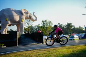 BIB: 
                            <button type="button" onclick="openModal(26163431)" class="btn btn-primary btn-sm float-right btn-popup" data-toggle="modal" data-target=".modal-high-quality">
                        <i class="fas fa-shopping-cart"></i> Add to Cart
                    </button>
                                            <button type="button" onclick="isThisMe(26163431, true)" class="btn btn-success btn-sm float-right btn-popup btn-isme hidden" data-toggle="tooltip" data-placement="bottom" title="นี่คือรูปของคุณใช่ไหม คลิกที่นี่เพื่อเอาเข้าอัลบั้ม">
                        <i class="fas fa-plus"></i> Add to album
                    </button>
                    <button type="button" onclick="isThisMe(26163431, false)" class="btn btn-warning btn-sm float-right btn-popup btn-isnotme hidden">
                        <i class="fas fa-ban"></i> Remove from album
                    </button>