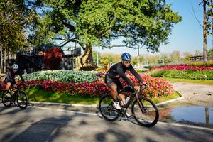 BIB: 
                            <button type="button" onclick="openModal(26168395)" class="btn btn-primary btn-sm float-right btn-popup" data-toggle="modal" data-target=".modal-high-quality">
                        <i class="fas fa-shopping-cart"></i> Add to Cart
                    </button>
                                            <button type="button" onclick="isThisMe(26168395, true)" class="btn btn-success btn-sm float-right btn-popup btn-isme hidden" data-toggle="tooltip" data-placement="bottom" title="นี่คือรูปของคุณใช่ไหม คลิกที่นี่เพื่อเอาเข้าอัลบั้ม">
                        <i class="fas fa-plus"></i> Add to album
                    </button>
                    <button type="button" onclick="isThisMe(26168395, false)" class="btn btn-warning btn-sm float-right btn-popup btn-isnotme hidden">
                        <i class="fas fa-ban"></i> Remove from album
                    </button>