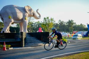 BIB: 
                            <button type="button" onclick="openModal(26163505)" class="btn btn-primary btn-sm float-right btn-popup" data-toggle="modal" data-target=".modal-high-quality">
                        <i class="fas fa-shopping-cart"></i> Add to Cart
                    </button>
                                            <button type="button" onclick="isThisMe(26163505, true)" class="btn btn-success btn-sm float-right btn-popup btn-isme hidden" data-toggle="tooltip" data-placement="bottom" title="นี่คือรูปของคุณใช่ไหม คลิกที่นี่เพื่อเอาเข้าอัลบั้ม">
                        <i class="fas fa-plus"></i> Add to album
                    </button>
                    <button type="button" onclick="isThisMe(26163505, false)" class="btn btn-warning btn-sm float-right btn-popup btn-isnotme hidden">
                        <i class="fas fa-ban"></i> Remove from album
                    </button>