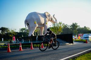 BIB: 
                            <button type="button" onclick="openModal(26163765)" class="btn btn-primary btn-sm float-right btn-popup" data-toggle="modal" data-target=".modal-high-quality">
                        <i class="fas fa-shopping-cart"></i> Add to Cart
                    </button>
                                            <button type="button" onclick="isThisMe(26163765, true)" class="btn btn-success btn-sm float-right btn-popup btn-isme hidden" data-toggle="tooltip" data-placement="bottom" title="นี่คือรูปของคุณใช่ไหม คลิกที่นี่เพื่อเอาเข้าอัลบั้ม">
                        <i class="fas fa-plus"></i> Add to album
                    </button>
                    <button type="button" onclick="isThisMe(26163765, false)" class="btn btn-warning btn-sm float-right btn-popup btn-isnotme hidden">
                        <i class="fas fa-ban"></i> Remove from album
                    </button>