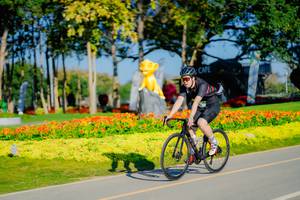 BIB: 
                            <button type="button" onclick="openModal(26167995)" class="btn btn-primary btn-sm float-right btn-popup" data-toggle="modal" data-target=".modal-high-quality">
                        <i class="fas fa-shopping-cart"></i> Add to Cart
                    </button>
                                            <button type="button" onclick="isThisMe(26167995, true)" class="btn btn-success btn-sm float-right btn-popup btn-isme hidden" data-toggle="tooltip" data-placement="bottom" title="นี่คือรูปของคุณใช่ไหม คลิกที่นี่เพื่อเอาเข้าอัลบั้ม">
                        <i class="fas fa-plus"></i> Add to album
                    </button>
                    <button type="button" onclick="isThisMe(26167995, false)" class="btn btn-warning btn-sm float-right btn-popup btn-isnotme hidden">
                        <i class="fas fa-ban"></i> Remove from album
                    </button>