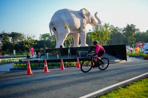 BIB: 
                            <button type="button" onclick="openModal(26163748)" class="btn btn-primary btn-sm float-right btn-popup" data-toggle="modal" data-target=".modal-high-quality">
                        <i class="fas fa-shopping-cart"></i> Add to Cart
                    </button>
                                            <button type="button" onclick="isThisMe(26163748, true)" class="btn btn-success btn-sm float-right btn-popup btn-isme hidden" data-toggle="tooltip" data-placement="bottom" title="นี่คือรูปของคุณใช่ไหม คลิกที่นี่เพื่อเอาเข้าอัลบั้ม">
                        <i class="fas fa-plus"></i> Add to album
                    </button>
                    <button type="button" onclick="isThisMe(26163748, false)" class="btn btn-warning btn-sm float-right btn-popup btn-isnotme hidden">
                        <i class="fas fa-ban"></i> Remove from album
                    </button>