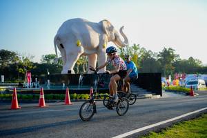 BIB: 
                            <button type="button" onclick="openModal(26163777)" class="btn btn-primary btn-sm float-right btn-popup" data-toggle="modal" data-target=".modal-high-quality">
                        <i class="fas fa-shopping-cart"></i> Add to Cart
                    </button>
                                            <button type="button" onclick="isThisMe(26163777, true)" class="btn btn-success btn-sm float-right btn-popup btn-isme hidden" data-toggle="tooltip" data-placement="bottom" title="นี่คือรูปของคุณใช่ไหม คลิกที่นี่เพื่อเอาเข้าอัลบั้ม">
                        <i class="fas fa-plus"></i> Add to album
                    </button>
                    <button type="button" onclick="isThisMe(26163777, false)" class="btn btn-warning btn-sm float-right btn-popup btn-isnotme hidden">
                        <i class="fas fa-ban"></i> Remove from album
                    </button>