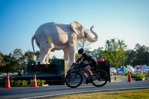 BIB: 
                            <button type="button" onclick="openModal(26163448)" class="btn btn-primary btn-sm float-right btn-popup" data-toggle="modal" data-target=".modal-high-quality">
                        <i class="fas fa-shopping-cart"></i> Add to Cart
                    </button>
                                            <button type="button" onclick="isThisMe(26163448, true)" class="btn btn-success btn-sm float-right btn-popup btn-isme hidden" data-toggle="tooltip" data-placement="bottom" title="นี่คือรูปของคุณใช่ไหม คลิกที่นี่เพื่อเอาเข้าอัลบั้ม">
                        <i class="fas fa-plus"></i> Add to album
                    </button>
                    <button type="button" onclick="isThisMe(26163448, false)" class="btn btn-warning btn-sm float-right btn-popup btn-isnotme hidden">
                        <i class="fas fa-ban"></i> Remove from album
                    </button>