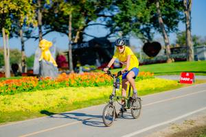 BIB: 
                            <button type="button" onclick="openModal(26168022)" class="btn btn-primary btn-sm float-right btn-popup" data-toggle="modal" data-target=".modal-high-quality">
                        <i class="fas fa-shopping-cart"></i> Add to Cart
                    </button>
                                            <button type="button" onclick="isThisMe(26168022, true)" class="btn btn-success btn-sm float-right btn-popup btn-isme hidden" data-toggle="tooltip" data-placement="bottom" title="นี่คือรูปของคุณใช่ไหม คลิกที่นี่เพื่อเอาเข้าอัลบั้ม">
                        <i class="fas fa-plus"></i> Add to album
                    </button>
                    <button type="button" onclick="isThisMe(26168022, false)" class="btn btn-warning btn-sm float-right btn-popup btn-isnotme hidden">
                        <i class="fas fa-ban"></i> Remove from album
                    </button>