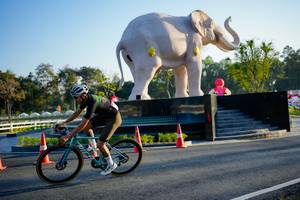 BIB: 
                            <button type="button" onclick="openModal(26163372)" class="btn btn-primary btn-sm float-right btn-popup" data-toggle="modal" data-target=".modal-high-quality">
                        <i class="fas fa-shopping-cart"></i> Add to Cart
                    </button>
                                            <button type="button" onclick="isThisMe(26163372, true)" class="btn btn-success btn-sm float-right btn-popup btn-isme hidden" data-toggle="tooltip" data-placement="bottom" title="นี่คือรูปของคุณใช่ไหม คลิกที่นี่เพื่อเอาเข้าอัลบั้ม">
                        <i class="fas fa-plus"></i> Add to album
                    </button>
                    <button type="button" onclick="isThisMe(26163372, false)" class="btn btn-warning btn-sm float-right btn-popup btn-isnotme hidden">
                        <i class="fas fa-ban"></i> Remove from album
                    </button>