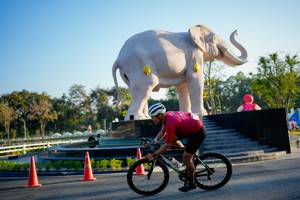 BIB: 
                            <button type="button" onclick="openModal(26163481)" class="btn btn-primary btn-sm float-right btn-popup" data-toggle="modal" data-target=".modal-high-quality">
                        <i class="fas fa-shopping-cart"></i> Add to Cart
                    </button>
                                            <button type="button" onclick="isThisMe(26163481, true)" class="btn btn-success btn-sm float-right btn-popup btn-isme hidden" data-toggle="tooltip" data-placement="bottom" title="นี่คือรูปของคุณใช่ไหม คลิกที่นี่เพื่อเอาเข้าอัลบั้ม">
                        <i class="fas fa-plus"></i> Add to album
                    </button>
                    <button type="button" onclick="isThisMe(26163481, false)" class="btn btn-warning btn-sm float-right btn-popup btn-isnotme hidden">
                        <i class="fas fa-ban"></i> Remove from album
                    </button>