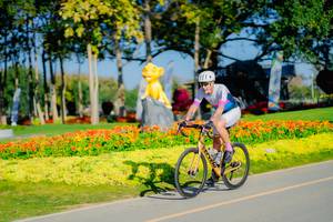 BIB: 
                            <button type="button" onclick="openModal(26168145)" class="btn btn-primary btn-sm float-right btn-popup" data-toggle="modal" data-target=".modal-high-quality">
                        <i class="fas fa-shopping-cart"></i> Add to Cart
                    </button>
                                            <button type="button" onclick="isThisMe(26168145, true)" class="btn btn-success btn-sm float-right btn-popup btn-isme hidden" data-toggle="tooltip" data-placement="bottom" title="นี่คือรูปของคุณใช่ไหม คลิกที่นี่เพื่อเอาเข้าอัลบั้ม">
                        <i class="fas fa-plus"></i> Add to album
                    </button>
                    <button type="button" onclick="isThisMe(26168145, false)" class="btn btn-warning btn-sm float-right btn-popup btn-isnotme hidden">
                        <i class="fas fa-ban"></i> Remove from album
                    </button>