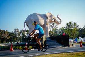 BIB: 
                            <button type="button" onclick="openModal(26163449)" class="btn btn-primary btn-sm float-right btn-popup" data-toggle="modal" data-target=".modal-high-quality">
                        <i class="fas fa-shopping-cart"></i> Add to Cart
                    </button>
                                            <button type="button" onclick="isThisMe(26163449, true)" class="btn btn-success btn-sm float-right btn-popup btn-isme hidden" data-toggle="tooltip" data-placement="bottom" title="นี่คือรูปของคุณใช่ไหม คลิกที่นี่เพื่อเอาเข้าอัลบั้ม">
                        <i class="fas fa-plus"></i> Add to album
                    </button>
                    <button type="button" onclick="isThisMe(26163449, false)" class="btn btn-warning btn-sm float-right btn-popup btn-isnotme hidden">
                        <i class="fas fa-ban"></i> Remove from album
                    </button>