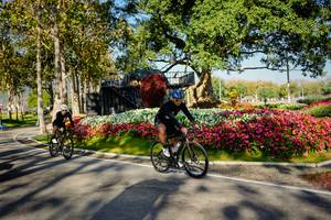 BIB: 
                            <button type="button" onclick="openModal(26168391)" class="btn btn-primary btn-sm float-right btn-popup" data-toggle="modal" data-target=".modal-high-quality">
                        <i class="fas fa-shopping-cart"></i> Add to Cart
                    </button>
                                            <button type="button" onclick="isThisMe(26168391, true)" class="btn btn-success btn-sm float-right btn-popup btn-isme hidden" data-toggle="tooltip" data-placement="bottom" title="นี่คือรูปของคุณใช่ไหม คลิกที่นี่เพื่อเอาเข้าอัลบั้ม">
                        <i class="fas fa-plus"></i> Add to album
                    </button>
                    <button type="button" onclick="isThisMe(26168391, false)" class="btn btn-warning btn-sm float-right btn-popup btn-isnotme hidden">
                        <i class="fas fa-ban"></i> Remove from album
                    </button>