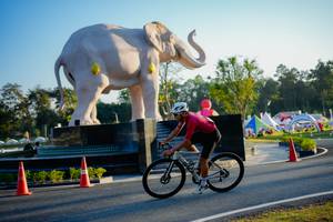 BIB: 
                            <button type="button" onclick="openModal(26163465)" class="btn btn-primary btn-sm float-right btn-popup" data-toggle="modal" data-target=".modal-high-quality">
                        <i class="fas fa-shopping-cart"></i> Add to Cart
                    </button>
                                            <button type="button" onclick="isThisMe(26163465, true)" class="btn btn-success btn-sm float-right btn-popup btn-isme hidden" data-toggle="tooltip" data-placement="bottom" title="นี่คือรูปของคุณใช่ไหม คลิกที่นี่เพื่อเอาเข้าอัลบั้ม">
                        <i class="fas fa-plus"></i> Add to album
                    </button>
                    <button type="button" onclick="isThisMe(26163465, false)" class="btn btn-warning btn-sm float-right btn-popup btn-isnotme hidden">
                        <i class="fas fa-ban"></i> Remove from album
                    </button>