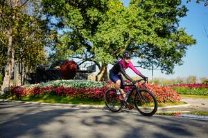 BIB: 
                            <button type="button" onclick="openModal(26168352)" class="btn btn-primary btn-sm float-right btn-popup" data-toggle="modal" data-target=".modal-high-quality">
                        <i class="fas fa-shopping-cart"></i> Add to Cart
                    </button>
                                            <button type="button" onclick="isThisMe(26168352, true)" class="btn btn-success btn-sm float-right btn-popup btn-isme hidden" data-toggle="tooltip" data-placement="bottom" title="นี่คือรูปของคุณใช่ไหม คลิกที่นี่เพื่อเอาเข้าอัลบั้ม">
                        <i class="fas fa-plus"></i> Add to album
                    </button>
                    <button type="button" onclick="isThisMe(26168352, false)" class="btn btn-warning btn-sm float-right btn-popup btn-isnotme hidden">
                        <i class="fas fa-ban"></i> Remove from album
                    </button>