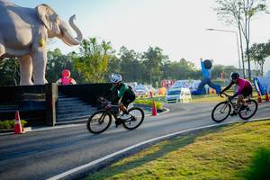 BIB: 
                            <button type="button" onclick="openModal(26163406)" class="btn btn-primary btn-sm float-right btn-popup" data-toggle="modal" data-target=".modal-high-quality">
                        <i class="fas fa-shopping-cart"></i> Add to Cart
                    </button>
                                            <button type="button" onclick="isThisMe(26163406, true)" class="btn btn-success btn-sm float-right btn-popup btn-isme hidden" data-toggle="tooltip" data-placement="bottom" title="นี่คือรูปของคุณใช่ไหม คลิกที่นี่เพื่อเอาเข้าอัลบั้ม">
                        <i class="fas fa-plus"></i> Add to album
                    </button>
                    <button type="button" onclick="isThisMe(26163406, false)" class="btn btn-warning btn-sm float-right btn-popup btn-isnotme hidden">
                        <i class="fas fa-ban"></i> Remove from album
                    </button>