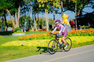 BIB: 
                            <button type="button" onclick="openModal(26168136)" class="btn btn-primary btn-sm float-right btn-popup" data-toggle="modal" data-target=".modal-high-quality">
                        <i class="fas fa-shopping-cart"></i> Add to Cart
                    </button>
                                            <button type="button" onclick="isThisMe(26168136, true)" class="btn btn-success btn-sm float-right btn-popup btn-isme hidden" data-toggle="tooltip" data-placement="bottom" title="นี่คือรูปของคุณใช่ไหม คลิกที่นี่เพื่อเอาเข้าอัลบั้ม">
                        <i class="fas fa-plus"></i> Add to album
                    </button>
                    <button type="button" onclick="isThisMe(26168136, false)" class="btn btn-warning btn-sm float-right btn-popup btn-isnotme hidden">
                        <i class="fas fa-ban"></i> Remove from album
                    </button>