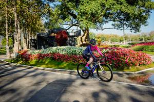 BIB: 
                            <button type="button" onclick="openModal(26168403)" class="btn btn-primary btn-sm float-right btn-popup" data-toggle="modal" data-target=".modal-high-quality">
                        <i class="fas fa-shopping-cart"></i> Add to Cart
                    </button>
                                            <button type="button" onclick="isThisMe(26168403, true)" class="btn btn-success btn-sm float-right btn-popup btn-isme hidden" data-toggle="tooltip" data-placement="bottom" title="นี่คือรูปของคุณใช่ไหม คลิกที่นี่เพื่อเอาเข้าอัลบั้ม">
                        <i class="fas fa-plus"></i> Add to album
                    </button>
                    <button type="button" onclick="isThisMe(26168403, false)" class="btn btn-warning btn-sm float-right btn-popup btn-isnotme hidden">
                        <i class="fas fa-ban"></i> Remove from album
                    </button>