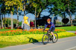 BIB: 
                            <button type="button" onclick="openModal(26168041)" class="btn btn-primary btn-sm float-right btn-popup" data-toggle="modal" data-target=".modal-high-quality">
                        <i class="fas fa-shopping-cart"></i> Add to Cart
                    </button>
                                            <button type="button" onclick="isThisMe(26168041, true)" class="btn btn-success btn-sm float-right btn-popup btn-isme hidden" data-toggle="tooltip" data-placement="bottom" title="นี่คือรูปของคุณใช่ไหม คลิกที่นี่เพื่อเอาเข้าอัลบั้ม">
                        <i class="fas fa-plus"></i> Add to album
                    </button>
                    <button type="button" onclick="isThisMe(26168041, false)" class="btn btn-warning btn-sm float-right btn-popup btn-isnotme hidden">
                        <i class="fas fa-ban"></i> Remove from album
                    </button>