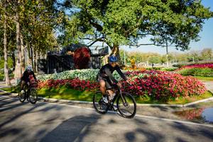 BIB: 
                            <button type="button" onclick="openModal(26168390)" class="btn btn-primary btn-sm float-right btn-popup" data-toggle="modal" data-target=".modal-high-quality">
                        <i class="fas fa-shopping-cart"></i> Add to Cart
                    </button>
                                            <button type="button" onclick="isThisMe(26168390, true)" class="btn btn-success btn-sm float-right btn-popup btn-isme hidden" data-toggle="tooltip" data-placement="bottom" title="นี่คือรูปของคุณใช่ไหม คลิกที่นี่เพื่อเอาเข้าอัลบั้ม">
                        <i class="fas fa-plus"></i> Add to album
                    </button>
                    <button type="button" onclick="isThisMe(26168390, false)" class="btn btn-warning btn-sm float-right btn-popup btn-isnotme hidden">
                        <i class="fas fa-ban"></i> Remove from album
                    </button>