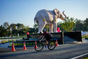 BIB: 
                            <button type="button" onclick="openModal(26163359)" class="btn btn-primary btn-sm float-right btn-popup" data-toggle="modal" data-target=".modal-high-quality">
                        <i class="fas fa-shopping-cart"></i> Add to Cart
                    </button>
                                            <button type="button" onclick="isThisMe(26163359, true)" class="btn btn-success btn-sm float-right btn-popup btn-isme hidden" data-toggle="tooltip" data-placement="bottom" title="นี่คือรูปของคุณใช่ไหม คลิกที่นี่เพื่อเอาเข้าอัลบั้ม">
                        <i class="fas fa-plus"></i> Add to album
                    </button>
                    <button type="button" onclick="isThisMe(26163359, false)" class="btn btn-warning btn-sm float-right btn-popup btn-isnotme hidden">
                        <i class="fas fa-ban"></i> Remove from album
                    </button>