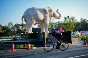 BIB: 
                            <button type="button" onclick="openModal(26163510)" class="btn btn-primary btn-sm float-right btn-popup" data-toggle="modal" data-target=".modal-high-quality">
                        <i class="fas fa-shopping-cart"></i> Add to Cart
                    </button>
                                            <button type="button" onclick="isThisMe(26163510, true)" class="btn btn-success btn-sm float-right btn-popup btn-isme hidden" data-toggle="tooltip" data-placement="bottom" title="นี่คือรูปของคุณใช่ไหม คลิกที่นี่เพื่อเอาเข้าอัลบั้ม">
                        <i class="fas fa-plus"></i> Add to album
                    </button>
                    <button type="button" onclick="isThisMe(26163510, false)" class="btn btn-warning btn-sm float-right btn-popup btn-isnotme hidden">
                        <i class="fas fa-ban"></i> Remove from album
                    </button>