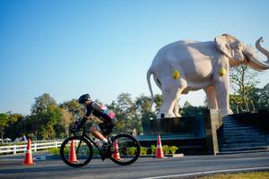 BIB: 
                            <button type="button" onclick="openModal(26163458)" class="btn btn-primary btn-sm float-right btn-popup" data-toggle="modal" data-target=".modal-high-quality">
                        <i class="fas fa-shopping-cart"></i> Add to Cart
                    </button>
                                            <button type="button" onclick="isThisMe(26163458, true)" class="btn btn-success btn-sm float-right btn-popup btn-isme hidden" data-toggle="tooltip" data-placement="bottom" title="นี่คือรูปของคุณใช่ไหม คลิกที่นี่เพื่อเอาเข้าอัลบั้ม">
                        <i class="fas fa-plus"></i> Add to album
                    </button>
                    <button type="button" onclick="isThisMe(26163458, false)" class="btn btn-warning btn-sm float-right btn-popup btn-isnotme hidden">
                        <i class="fas fa-ban"></i> Remove from album
                    </button>