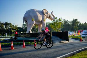 BIB: 
                            <button type="button" onclick="openModal(26163358)" class="btn btn-primary btn-sm float-right btn-popup" data-toggle="modal" data-target=".modal-high-quality">
                        <i class="fas fa-shopping-cart"></i> Add to Cart
                    </button>
                                            <button type="button" onclick="isThisMe(26163358, true)" class="btn btn-success btn-sm float-right btn-popup btn-isme hidden" data-toggle="tooltip" data-placement="bottom" title="นี่คือรูปของคุณใช่ไหม คลิกที่นี่เพื่อเอาเข้าอัลบั้ม">
                        <i class="fas fa-plus"></i> Add to album
                    </button>
                    <button type="button" onclick="isThisMe(26163358, false)" class="btn btn-warning btn-sm float-right btn-popup btn-isnotme hidden">
                        <i class="fas fa-ban"></i> Remove from album
                    </button>