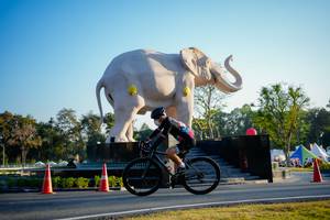 BIB: 
                            <button type="button" onclick="openModal(26163454)" class="btn btn-primary btn-sm float-right btn-popup" data-toggle="modal" data-target=".modal-high-quality">
                        <i class="fas fa-shopping-cart"></i> Add to Cart
                    </button>
                                            <button type="button" onclick="isThisMe(26163454, true)" class="btn btn-success btn-sm float-right btn-popup btn-isme hidden" data-toggle="tooltip" data-placement="bottom" title="นี่คือรูปของคุณใช่ไหม คลิกที่นี่เพื่อเอาเข้าอัลบั้ม">
                        <i class="fas fa-plus"></i> Add to album
                    </button>
                    <button type="button" onclick="isThisMe(26163454, false)" class="btn btn-warning btn-sm float-right btn-popup btn-isnotme hidden">
                        <i class="fas fa-ban"></i> Remove from album
                    </button>