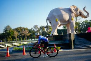 BIB: 
                            <button type="button" onclick="openModal(26163473)" class="btn btn-primary btn-sm float-right btn-popup" data-toggle="modal" data-target=".modal-high-quality">
                        <i class="fas fa-shopping-cart"></i> Add to Cart
                    </button>
                                            <button type="button" onclick="isThisMe(26163473, true)" class="btn btn-success btn-sm float-right btn-popup btn-isme hidden" data-toggle="tooltip" data-placement="bottom" title="นี่คือรูปของคุณใช่ไหม คลิกที่นี่เพื่อเอาเข้าอัลบั้ม">
                        <i class="fas fa-plus"></i> Add to album
                    </button>
                    <button type="button" onclick="isThisMe(26163473, false)" class="btn btn-warning btn-sm float-right btn-popup btn-isnotme hidden">
                        <i class="fas fa-ban"></i> Remove from album
                    </button>