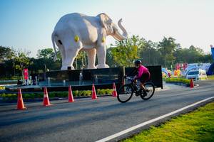 BIB: 
                            <button type="button" onclick="openModal(26163744)" class="btn btn-primary btn-sm float-right btn-popup" data-toggle="modal" data-target=".modal-high-quality">
                        <i class="fas fa-shopping-cart"></i> Add to Cart
                    </button>
                                            <button type="button" onclick="isThisMe(26163744, true)" class="btn btn-success btn-sm float-right btn-popup btn-isme hidden" data-toggle="tooltip" data-placement="bottom" title="นี่คือรูปของคุณใช่ไหม คลิกที่นี่เพื่อเอาเข้าอัลบั้ม">
                        <i class="fas fa-plus"></i> Add to album
                    </button>
                    <button type="button" onclick="isThisMe(26163744, false)" class="btn btn-warning btn-sm float-right btn-popup btn-isnotme hidden">
                        <i class="fas fa-ban"></i> Remove from album
                    </button>