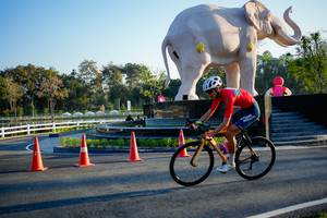 BIB: 
                            <button type="button" onclick="openModal(26163398)" class="btn btn-primary btn-sm float-right btn-popup" data-toggle="modal" data-target=".modal-high-quality">
                        <i class="fas fa-shopping-cart"></i> Add to Cart
                    </button>
                                            <button type="button" onclick="isThisMe(26163398, true)" class="btn btn-success btn-sm float-right btn-popup btn-isme hidden" data-toggle="tooltip" data-placement="bottom" title="นี่คือรูปของคุณใช่ไหม คลิกที่นี่เพื่อเอาเข้าอัลบั้ม">
                        <i class="fas fa-plus"></i> Add to album
                    </button>
                    <button type="button" onclick="isThisMe(26163398, false)" class="btn btn-warning btn-sm float-right btn-popup btn-isnotme hidden">
                        <i class="fas fa-ban"></i> Remove from album
                    </button>