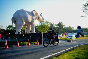 BIB: 
                            <button type="button" onclick="openModal(26163762)" class="btn btn-primary btn-sm float-right btn-popup" data-toggle="modal" data-target=".modal-high-quality">
                        <i class="fas fa-shopping-cart"></i> Add to Cart
                    </button>
                                            <button type="button" onclick="isThisMe(26163762, true)" class="btn btn-success btn-sm float-right btn-popup btn-isme hidden" data-toggle="tooltip" data-placement="bottom" title="นี่คือรูปของคุณใช่ไหม คลิกที่นี่เพื่อเอาเข้าอัลบั้ม">
                        <i class="fas fa-plus"></i> Add to album
                    </button>
                    <button type="button" onclick="isThisMe(26163762, false)" class="btn btn-warning btn-sm float-right btn-popup btn-isnotme hidden">
                        <i class="fas fa-ban"></i> Remove from album
                    </button>