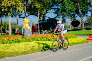 BIB: 
                            <button type="button" onclick="openModal(26168141)" class="btn btn-primary btn-sm float-right btn-popup" data-toggle="modal" data-target=".modal-high-quality">
                        <i class="fas fa-shopping-cart"></i> Add to Cart
                    </button>
                                            <button type="button" onclick="isThisMe(26168141, true)" class="btn btn-success btn-sm float-right btn-popup btn-isme hidden" data-toggle="tooltip" data-placement="bottom" title="นี่คือรูปของคุณใช่ไหม คลิกที่นี่เพื่อเอาเข้าอัลบั้ม">
                        <i class="fas fa-plus"></i> Add to album
                    </button>
                    <button type="button" onclick="isThisMe(26168141, false)" class="btn btn-warning btn-sm float-right btn-popup btn-isnotme hidden">
                        <i class="fas fa-ban"></i> Remove from album
                    </button>