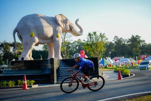 BIB: 
                            <button type="button" onclick="openModal(26163466)" class="btn btn-primary btn-sm float-right btn-popup" data-toggle="modal" data-target=".modal-high-quality">
                        <i class="fas fa-shopping-cart"></i> Add to Cart
                    </button>
                                            <button type="button" onclick="isThisMe(26163466, true)" class="btn btn-success btn-sm float-right btn-popup btn-isme hidden" data-toggle="tooltip" data-placement="bottom" title="นี่คือรูปของคุณใช่ไหม คลิกที่นี่เพื่อเอาเข้าอัลบั้ม">
                        <i class="fas fa-plus"></i> Add to album
                    </button>
                    <button type="button" onclick="isThisMe(26163466, false)" class="btn btn-warning btn-sm float-right btn-popup btn-isnotme hidden">
                        <i class="fas fa-ban"></i> Remove from album
                    </button>