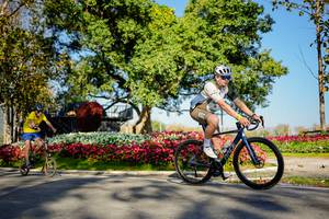 BIB: 
                            <button type="button" onclick="openModal(26168359)" class="btn btn-primary btn-sm float-right btn-popup" data-toggle="modal" data-target=".modal-high-quality">
                        <i class="fas fa-shopping-cart"></i> Add to Cart
                    </button>
                                            <button type="button" onclick="isThisMe(26168359, true)" class="btn btn-success btn-sm float-right btn-popup btn-isme hidden" data-toggle="tooltip" data-placement="bottom" title="นี่คือรูปของคุณใช่ไหม คลิกที่นี่เพื่อเอาเข้าอัลบั้ม">
                        <i class="fas fa-plus"></i> Add to album
                    </button>
                    <button type="button" onclick="isThisMe(26168359, false)" class="btn btn-warning btn-sm float-right btn-popup btn-isnotme hidden">
                        <i class="fas fa-ban"></i> Remove from album
                    </button>