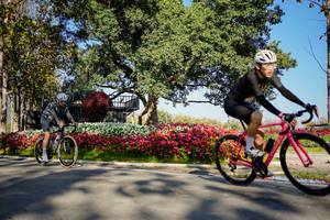 BIB: 
                            <button type="button" onclick="openModal(26168378)" class="btn btn-primary btn-sm float-right btn-popup" data-toggle="modal" data-target=".modal-high-quality">
                        <i class="fas fa-shopping-cart"></i> Add to Cart
                    </button>
                                            <button type="button" onclick="isThisMe(26168378, true)" class="btn btn-success btn-sm float-right btn-popup btn-isme hidden" data-toggle="tooltip" data-placement="bottom" title="นี่คือรูปของคุณใช่ไหม คลิกที่นี่เพื่อเอาเข้าอัลบั้ม">
                        <i class="fas fa-plus"></i> Add to album
                    </button>
                    <button type="button" onclick="isThisMe(26168378, false)" class="btn btn-warning btn-sm float-right btn-popup btn-isnotme hidden">
                        <i class="fas fa-ban"></i> Remove from album
                    </button>