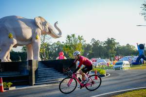 BIB: 
                            <button type="button" onclick="openModal(26163486)" class="btn btn-primary btn-sm float-right btn-popup" data-toggle="modal" data-target=".modal-high-quality">
                        <i class="fas fa-shopping-cart"></i> Add to Cart
                    </button>
                                            <button type="button" onclick="isThisMe(26163486, true)" class="btn btn-success btn-sm float-right btn-popup btn-isme hidden" data-toggle="tooltip" data-placement="bottom" title="นี่คือรูปของคุณใช่ไหม คลิกที่นี่เพื่อเอาเข้าอัลบั้ม">
                        <i class="fas fa-plus"></i> Add to album
                    </button>
                    <button type="button" onclick="isThisMe(26163486, false)" class="btn btn-warning btn-sm float-right btn-popup btn-isnotme hidden">
                        <i class="fas fa-ban"></i> Remove from album
                    </button>