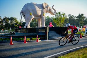 BIB: 
                            <button type="button" onclick="openModal(26163390)" class="btn btn-primary btn-sm float-right btn-popup" data-toggle="modal" data-target=".modal-high-quality">
                        <i class="fas fa-shopping-cart"></i> Add to Cart
                    </button>
                                            <button type="button" onclick="isThisMe(26163390, true)" class="btn btn-success btn-sm float-right btn-popup btn-isme hidden" data-toggle="tooltip" data-placement="bottom" title="นี่คือรูปของคุณใช่ไหม คลิกที่นี่เพื่อเอาเข้าอัลบั้ม">
                        <i class="fas fa-plus"></i> Add to album
                    </button>
                    <button type="button" onclick="isThisMe(26163390, false)" class="btn btn-warning btn-sm float-right btn-popup btn-isnotme hidden">
                        <i class="fas fa-ban"></i> Remove from album
                    </button>