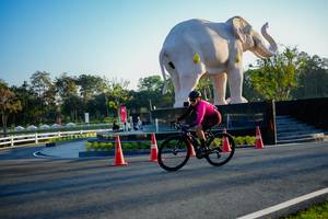 BIB: 
                            <button type="button" onclick="openModal(26163750)" class="btn btn-primary btn-sm float-right btn-popup" data-toggle="modal" data-target=".modal-high-quality">
                        <i class="fas fa-shopping-cart"></i> Add to Cart
                    </button>
                                            <button type="button" onclick="isThisMe(26163750, true)" class="btn btn-success btn-sm float-right btn-popup btn-isme hidden" data-toggle="tooltip" data-placement="bottom" title="นี่คือรูปของคุณใช่ไหม คลิกที่นี่เพื่อเอาเข้าอัลบั้ม">
                        <i class="fas fa-plus"></i> Add to album
                    </button>
                    <button type="button" onclick="isThisMe(26163750, false)" class="btn btn-warning btn-sm float-right btn-popup btn-isnotme hidden">
                        <i class="fas fa-ban"></i> Remove from album
                    </button>