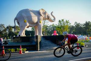 BIB: 
                            <button type="button" onclick="openModal(26163476)" class="btn btn-primary btn-sm float-right btn-popup" data-toggle="modal" data-target=".modal-high-quality">
                        <i class="fas fa-shopping-cart"></i> Add to Cart
                    </button>
                                            <button type="button" onclick="isThisMe(26163476, true)" class="btn btn-success btn-sm float-right btn-popup btn-isme hidden" data-toggle="tooltip" data-placement="bottom" title="นี่คือรูปของคุณใช่ไหม คลิกที่นี่เพื่อเอาเข้าอัลบั้ม">
                        <i class="fas fa-plus"></i> Add to album
                    </button>
                    <button type="button" onclick="isThisMe(26163476, false)" class="btn btn-warning btn-sm float-right btn-popup btn-isnotme hidden">
                        <i class="fas fa-ban"></i> Remove from album
                    </button>