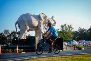 BIB: 
                            <button type="button" onclick="openModal(26163443)" class="btn btn-primary btn-sm float-right btn-popup" data-toggle="modal" data-target=".modal-high-quality">
                        <i class="fas fa-shopping-cart"></i> Add to Cart
                    </button>
                                            <button type="button" onclick="isThisMe(26163443, true)" class="btn btn-success btn-sm float-right btn-popup btn-isme hidden" data-toggle="tooltip" data-placement="bottom" title="นี่คือรูปของคุณใช่ไหม คลิกที่นี่เพื่อเอาเข้าอัลบั้ม">
                        <i class="fas fa-plus"></i> Add to album
                    </button>
                    <button type="button" onclick="isThisMe(26163443, false)" class="btn btn-warning btn-sm float-right btn-popup btn-isnotme hidden">
                        <i class="fas fa-ban"></i> Remove from album
                    </button>