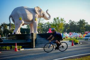 BIB: 
                            <button type="button" onclick="openModal(26163507)" class="btn btn-primary btn-sm float-right btn-popup" data-toggle="modal" data-target=".modal-high-quality">
                        <i class="fas fa-shopping-cart"></i> Add to Cart
                    </button>
                                            <button type="button" onclick="isThisMe(26163507, true)" class="btn btn-success btn-sm float-right btn-popup btn-isme hidden" data-toggle="tooltip" data-placement="bottom" title="นี่คือรูปของคุณใช่ไหม คลิกที่นี่เพื่อเอาเข้าอัลบั้ม">
                        <i class="fas fa-plus"></i> Add to album
                    </button>
                    <button type="button" onclick="isThisMe(26163507, false)" class="btn btn-warning btn-sm float-right btn-popup btn-isnotme hidden">
                        <i class="fas fa-ban"></i> Remove from album
                    </button>