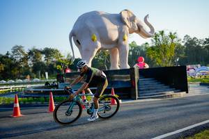 BIB: 
                            <button type="button" onclick="openModal(26163375)" class="btn btn-primary btn-sm float-right btn-popup" data-toggle="modal" data-target=".modal-high-quality">
                        <i class="fas fa-shopping-cart"></i> Add to Cart
                    </button>
                                            <button type="button" onclick="isThisMe(26163375, true)" class="btn btn-success btn-sm float-right btn-popup btn-isme hidden" data-toggle="tooltip" data-placement="bottom" title="นี่คือรูปของคุณใช่ไหม คลิกที่นี่เพื่อเอาเข้าอัลบั้ม">
                        <i class="fas fa-plus"></i> Add to album
                    </button>
                    <button type="button" onclick="isThisMe(26163375, false)" class="btn btn-warning btn-sm float-right btn-popup btn-isnotme hidden">
                        <i class="fas fa-ban"></i> Remove from album
                    </button>