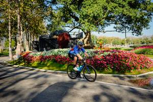 BIB: 
                            <button type="button" onclick="openModal(26168397)" class="btn btn-primary btn-sm float-right btn-popup" data-toggle="modal" data-target=".modal-high-quality">
                        <i class="fas fa-shopping-cart"></i> Add to Cart
                    </button>
                                            <button type="button" onclick="isThisMe(26168397, true)" class="btn btn-success btn-sm float-right btn-popup btn-isme hidden" data-toggle="tooltip" data-placement="bottom" title="นี่คือรูปของคุณใช่ไหม คลิกที่นี่เพื่อเอาเข้าอัลบั้ม">
                        <i class="fas fa-plus"></i> Add to album
                    </button>
                    <button type="button" onclick="isThisMe(26168397, false)" class="btn btn-warning btn-sm float-right btn-popup btn-isnotme hidden">
                        <i class="fas fa-ban"></i> Remove from album
                    </button>