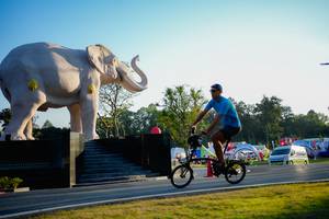 BIB: 
                            <button type="button" onclick="openModal(26163442)" class="btn btn-primary btn-sm float-right btn-popup" data-toggle="modal" data-target=".modal-high-quality">
                        <i class="fas fa-shopping-cart"></i> Add to Cart
                    </button>
                                            <button type="button" onclick="isThisMe(26163442, true)" class="btn btn-success btn-sm float-right btn-popup btn-isme hidden" data-toggle="tooltip" data-placement="bottom" title="นี่คือรูปของคุณใช่ไหม คลิกที่นี่เพื่อเอาเข้าอัลบั้ม">
                        <i class="fas fa-plus"></i> Add to album
                    </button>
                    <button type="button" onclick="isThisMe(26163442, false)" class="btn btn-warning btn-sm float-right btn-popup btn-isnotme hidden">
                        <i class="fas fa-ban"></i> Remove from album
                    </button>