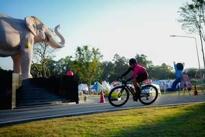 BIB: 
                            <button type="button" onclick="openModal(26163432)" class="btn btn-primary btn-sm float-right btn-popup" data-toggle="modal" data-target=".modal-high-quality">
                        <i class="fas fa-shopping-cart"></i> Add to Cart
                    </button>
                                            <button type="button" onclick="isThisMe(26163432, true)" class="btn btn-success btn-sm float-right btn-popup btn-isme hidden" data-toggle="tooltip" data-placement="bottom" title="นี่คือรูปของคุณใช่ไหม คลิกที่นี่เพื่อเอาเข้าอัลบั้ม">
                        <i class="fas fa-plus"></i> Add to album
                    </button>
                    <button type="button" onclick="isThisMe(26163432, false)" class="btn btn-warning btn-sm float-right btn-popup btn-isnotme hidden">
                        <i class="fas fa-ban"></i> Remove from album
                    </button>