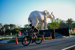 BIB: 
                            <button type="button" onclick="openModal(26163767)" class="btn btn-primary btn-sm float-right btn-popup" data-toggle="modal" data-target=".modal-high-quality">
                        <i class="fas fa-shopping-cart"></i> Add to Cart
                    </button>
                                            <button type="button" onclick="isThisMe(26163767, true)" class="btn btn-success btn-sm float-right btn-popup btn-isme hidden" data-toggle="tooltip" data-placement="bottom" title="นี่คือรูปของคุณใช่ไหม คลิกที่นี่เพื่อเอาเข้าอัลบั้ม">
                        <i class="fas fa-plus"></i> Add to album
                    </button>
                    <button type="button" onclick="isThisMe(26163767, false)" class="btn btn-warning btn-sm float-right btn-popup btn-isnotme hidden">
                        <i class="fas fa-ban"></i> Remove from album
                    </button>