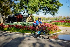 BIB: 
                            <button type="button" onclick="openModal(26168398)" class="btn btn-primary btn-sm float-right btn-popup" data-toggle="modal" data-target=".modal-high-quality">
                        <i class="fas fa-shopping-cart"></i> Add to Cart
                    </button>
                                            <button type="button" onclick="isThisMe(26168398, true)" class="btn btn-success btn-sm float-right btn-popup btn-isme hidden" data-toggle="tooltip" data-placement="bottom" title="นี่คือรูปของคุณใช่ไหม คลิกที่นี่เพื่อเอาเข้าอัลบั้ม">
                        <i class="fas fa-plus"></i> Add to album
                    </button>
                    <button type="button" onclick="isThisMe(26168398, false)" class="btn btn-warning btn-sm float-right btn-popup btn-isnotme hidden">
                        <i class="fas fa-ban"></i> Remove from album
                    </button>