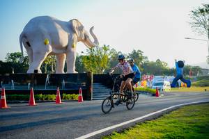 BIB: 
                            <button type="button" onclick="openModal(26163766)" class="btn btn-primary btn-sm float-right btn-popup" data-toggle="modal" data-target=".modal-high-quality">
                        <i class="fas fa-shopping-cart"></i> Add to Cart
                    </button>
                                            <button type="button" onclick="isThisMe(26163766, true)" class="btn btn-success btn-sm float-right btn-popup btn-isme hidden" data-toggle="tooltip" data-placement="bottom" title="นี่คือรูปของคุณใช่ไหม คลิกที่นี่เพื่อเอาเข้าอัลบั้ม">
                        <i class="fas fa-plus"></i> Add to album
                    </button>
                    <button type="button" onclick="isThisMe(26163766, false)" class="btn btn-warning btn-sm float-right btn-popup btn-isnotme hidden">
                        <i class="fas fa-ban"></i> Remove from album
                    </button>