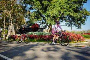 BIB: 
                            <button type="button" onclick="openModal(26168373)" class="btn btn-primary btn-sm float-right btn-popup" data-toggle="modal" data-target=".modal-high-quality">
                        <i class="fas fa-shopping-cart"></i> Add to Cart
                    </button>
                                            <button type="button" onclick="isThisMe(26168373, true)" class="btn btn-success btn-sm float-right btn-popup btn-isme hidden" data-toggle="tooltip" data-placement="bottom" title="นี่คือรูปของคุณใช่ไหม คลิกที่นี่เพื่อเอาเข้าอัลบั้ม">
                        <i class="fas fa-plus"></i> Add to album
                    </button>
                    <button type="button" onclick="isThisMe(26168373, false)" class="btn btn-warning btn-sm float-right btn-popup btn-isnotme hidden">
                        <i class="fas fa-ban"></i> Remove from album
                    </button>